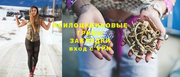 spice Алексин