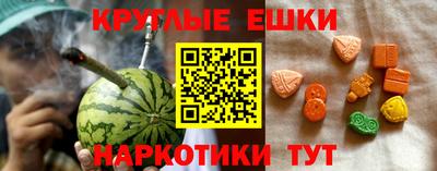 гидра Тара
