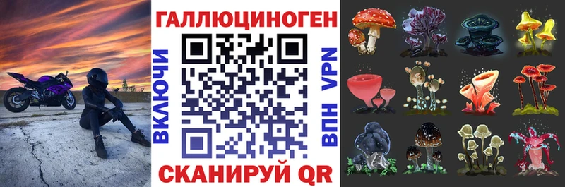 Галлюциногенные грибы Magic Shrooms  кракен вход  Прохладный 