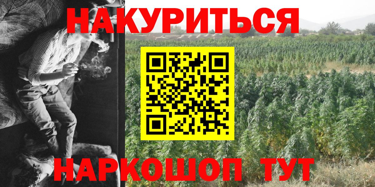 Марихуана семена Прохладный